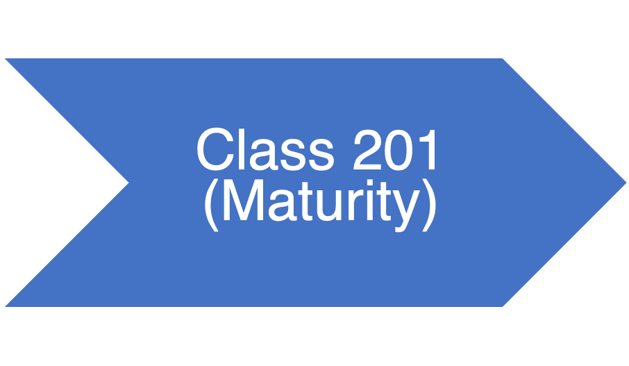 Class 201